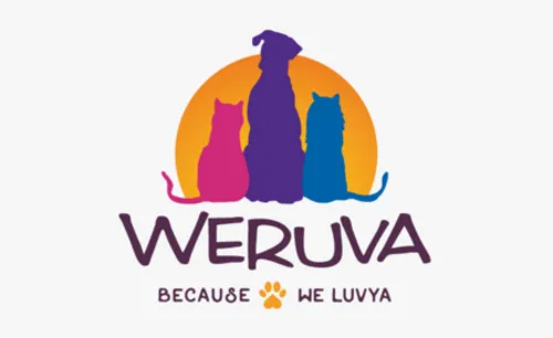 imageedit-55-6515079197.webp